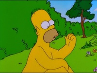 Screengrab thumbnail