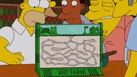 Screengrab thumbnail