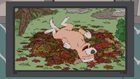 Screengrab thumbnail